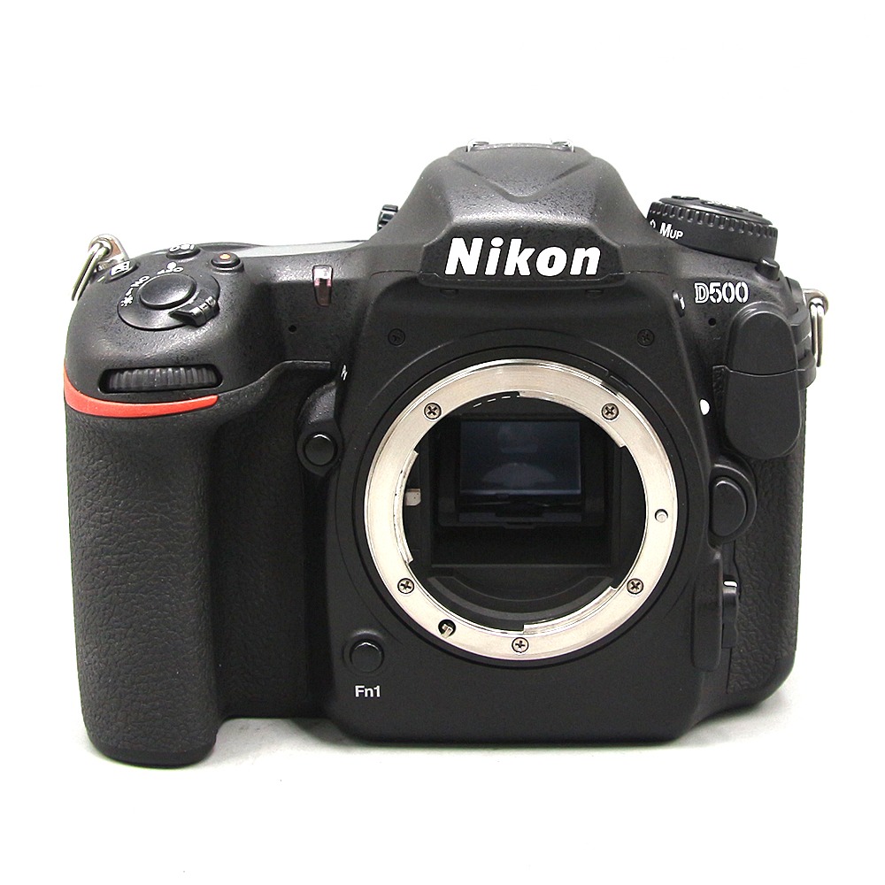 니콘 Nikon D500